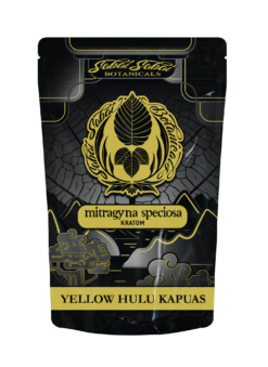 Yellow Hulu Kapuas